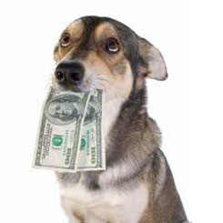 Dog with Money