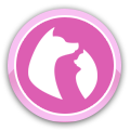 Dog and Cat Icon
